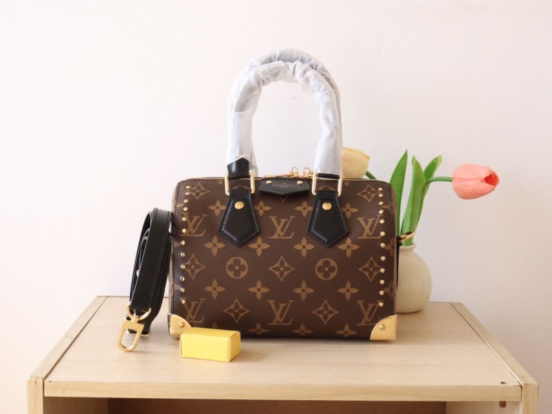 LV Speedy Bags